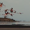 Lake Natron